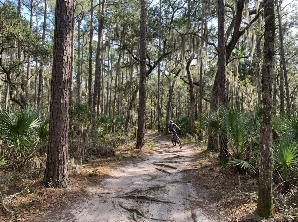 Hanna Park Jacksonville Beach family outdoor activities December holidays